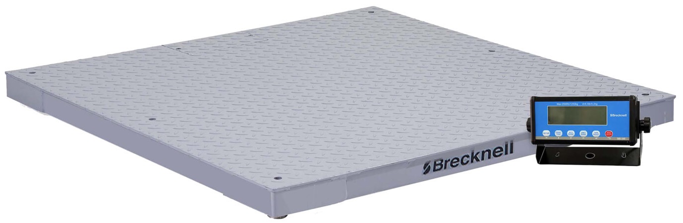Brecknell DCSB Floor Scale System with SBI 240 Indicator